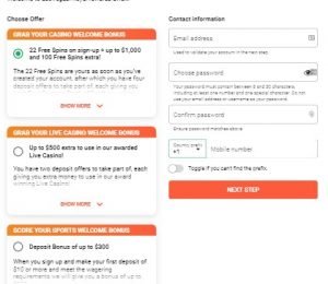 LeoVegas login page