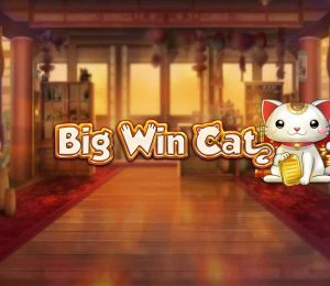 Big Win Cat-slot-main