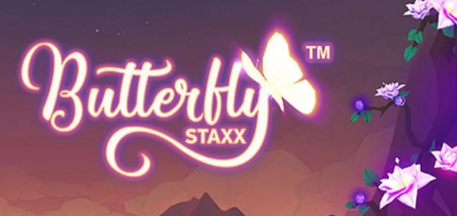 butterfly staxx