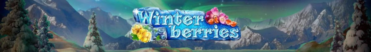 Winterberries Slot Game