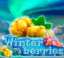 winterberries slot main
