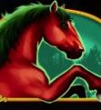 Wolf Gold Slot - Horse Symbol