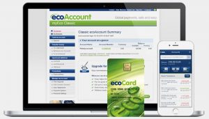 ecoPayz Laptop and Mobile