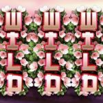 Fruit Zen Slot - Wild Symbol