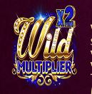 Reels of Wealth Slot - Wild Multiplier