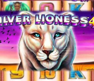 Silver Lioness slot main