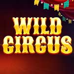 Wild Circus slot small