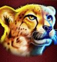 Great Rhino Slot - Cheetah Symbol