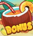 Tiki Fruits Slot - Bonus Symbol