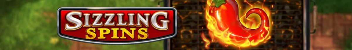 Sizzling Spins Slot by PlaynGo