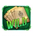 Showdown Saloon Slot Wild Symbol