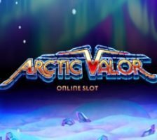 arctic valor