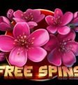 shogun of time free spins