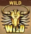 golden colts wild