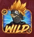 ninja wild