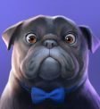 Tales of Dr. Dolittle - Pug Symbol