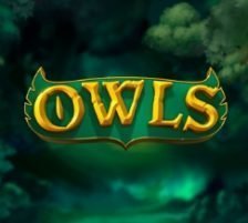 Owls Slot Featured Image