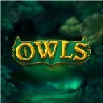 Owls Slot - Small Image