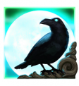 Ravens Eye Scatter Symbol raven icon