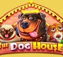 The Dog House logo and title