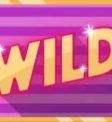 wild icon