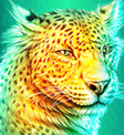 Cheetah Symbol Raging Rhino Megaways