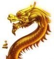 Dragon Chase Golden dragon symbol