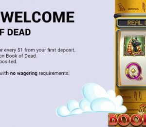PiggyBang Welcome