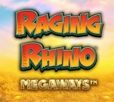 Raging Rhino Megaways 270 x 218