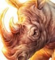 Rhino Symbol Raging Rhino Megaways
