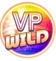 Village People Macho Moves VP Wild