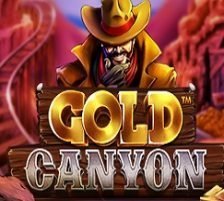 Gold Canyon 270 x 218