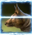 Relic Seekers Free Spins Symbol