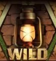 Relic Seekers Wild Symbol