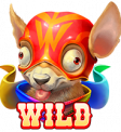 Pay of the Dead Chihuahua Wild