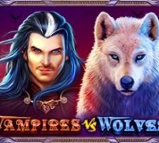 Vampires vs Werewolves 270 x 218