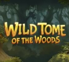 Wild Tome of the Woods 270 x 218
