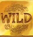 Wild Tome of the Woods Wild