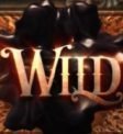 A Dark Matter - Wild