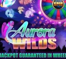 Aurora Wilds 270 x 218
