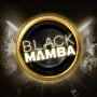 Black Mamba 320 x 320