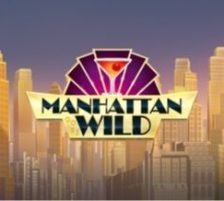 Manhattan Goes Wild 270 x 218