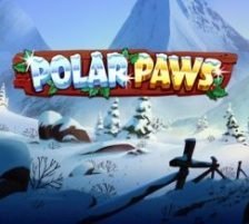 Polar Paws 270 x 218