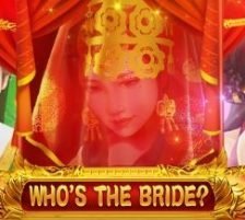 Who's The Bride 320 x 320