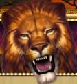 African Quest Stacked Lion feature