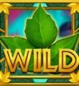 Poison Eve Expanding Vine Wilds
