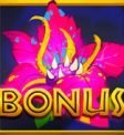 Poison Eve Flower Power Free Spins