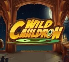 Wild Cauldron 270 x 218