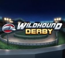 Wildhound Derby 270 x 218