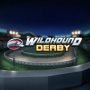 Wildhound Derby 320 x 320